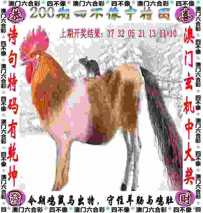 滑雪登山亚锦赛落幕 中国队包揽全部金牌