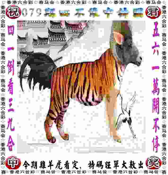 天津津门虎 vs 成都蓉城
